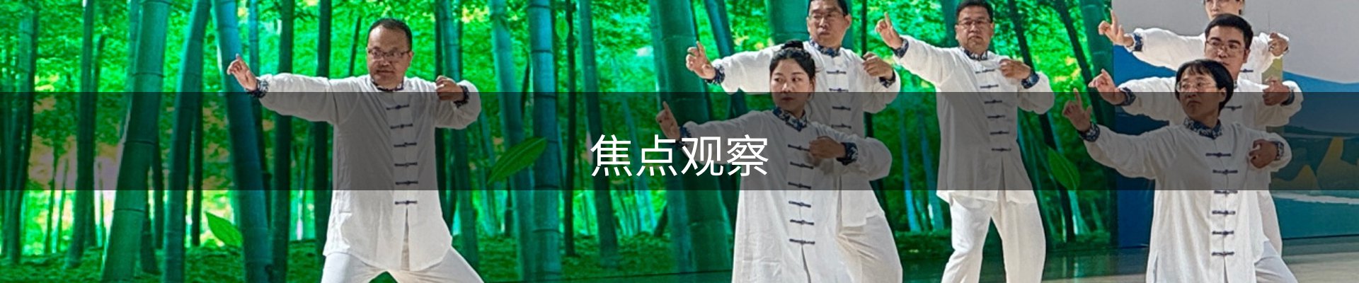 焦点观察